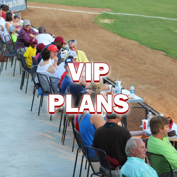 Ticket Packages Macon Bacon Baseball